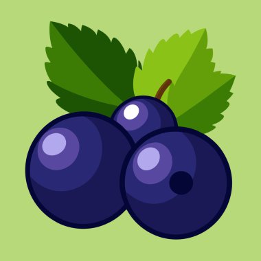 Taze, sulu, yeşil yapraklı kuşüzümlerin canlı vektör çizimi. Yemek blogları, ambalaj tasarımı ya da sağlıklı bir yaz tatili gerektiren her proje için mükemmel. Yüksek kalite grafik, hem baskı hem de dijital kullanım için ideal. Bu çok lezzetli.