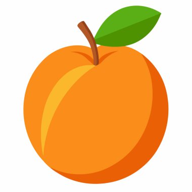 Beyaz arka planda izole edilmiş tek bir olgun kayısı meyvesinin canlı bir çizimi. Yemek blogları, sağlıklı beslenme kampanyaları ya da yaz temalı tasarımlar için mükemmel. Yüksek kalite vektör grafiği, kolayca ölçeklenebilir ve çeşitli projelere uyarlanabilir. Temiz,