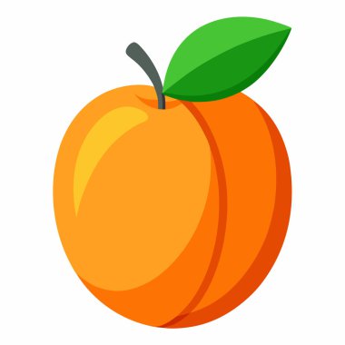 Yapraklı, olgun bir kayısı ile canlı bir vektör çizimi. Yemek blogları, ambalajlar ya da sağlıklı yaşam tarzı tasarımları için mükemmel. Sulu meyve, turuncu ve sarı tonlarda betimlenir ve temiz beyaz bir arka plan karşısındadır. Bir fres eklemek için ideal