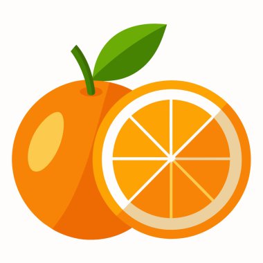 Yaprakları izole edilmiş taze ve turuncu meyve, vektör illüstrasyon tasarımı