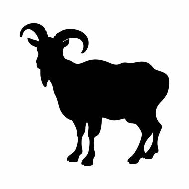 Görkemli bir dağ keçisinin çarpıcı siyah beyaz silueti. Güçlü, doğadan esinlenilmiş bir imaj gerektiren logolar, markalaşma veya tasarım projeleri için mükemmel. İzole edilmiş vektör grafiğinde ayrıntılı boynuzlar ve çeşitli türler için ideal güçlü bir profil bulunur.