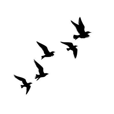 Beş zarif siyah beyaz kuş silueti havada süzülüyor. Minimalist, barışçıl ve doğadan esinlenilmiş bir elemente ihtiyaç duyan tasarımlar için mükemmel. İnternet siteleri, logolar veya özgürlük, sükunet ve vahşi yaşam temalarını taşıyan basılı projeler için idealdir. Yüksek-