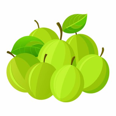Yeşil üzümler, illüstrasyon, beyaz arkaplanda vektör