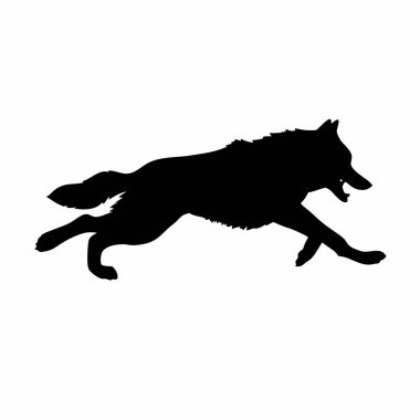 Siyah kurdun silueti.