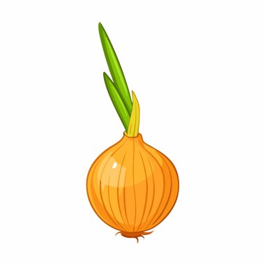 Çizgi film tarzında soğan. Beyaz arkaplanda izole vektör illüstrasyonu.