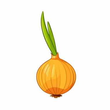 vektör çizim karikatür soğan