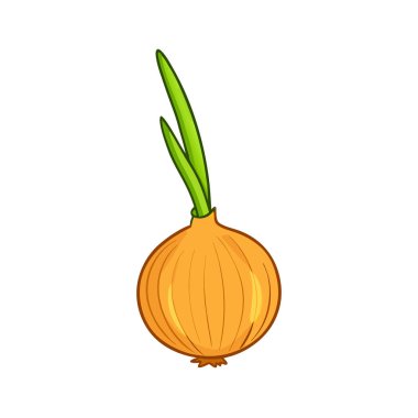 Soğan simgesi. Soğan vektör simgesi web için karikatür çizimi
