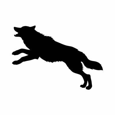 beyaz arka plan üzerinde siyah kurt