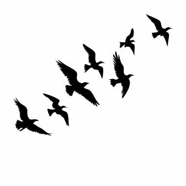 Beyaz arka planda uçan bir kuş sürüsünün zarif silueti. Minimalist, doğadan esinlenilmiş bir elemente ihtiyaç duyan tasarım projeleri için mükemmel. Logo, arkaplan ya da tasarım unsuru olarak ideal. Çeşitli aplikasyonlar için kolayca ölçeklenebilir vektör grafiği