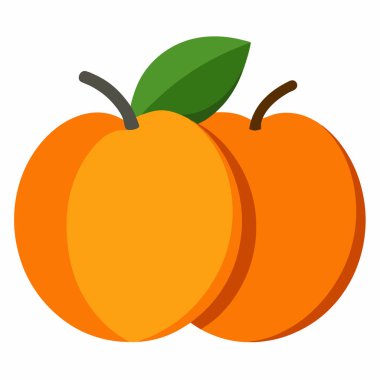 İki olgun nektarin, canlı turuncu ve sulu, yemeye hazır. Yaz tarifleri, sağlıklı atıştırmalıklar ya da taze meyve çizimleri için mükemmel. Web siteleri, bloglar ve pazarlama materyalleri için yüksek çözünürlüklü görüntü ideal. Dokusunu gösteren yakın plan bir çekim.