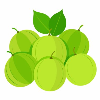 Beyaz arka planda yeşil üzümler