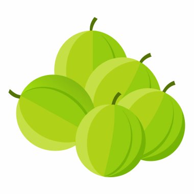 yeşil üzüm meyve ikonu. Web için üzüm ve üzüm vektör simgesinin düz çizimi