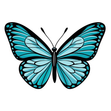 Saf beyaz arka planda izole edilmiş canlı deniz mavisi kelebeği kanatlarının yakın çekimi. Grafik tasarım projeleri için mükemmel, bahar / yaz temaları, ya da hassas, büyülü bir güzelliğe ihtiyaç duyan her tasarım için. Yazdırma ve Web u için yüksek çözünürlüklü resim ideal