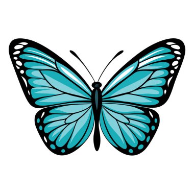 Saf beyaz arka planda izole edilmiş canlı deniz mavisi kelebeği kanatları. Grafik tasarımı için ideal, bahar / yaz temaları, ya da hassas, doğadan esinlenilmiş bir unsur gerektiren projeler. Yüksek çözünürlüklü resim baskı ve web kullanımı için mükemmel. Dönüşümün sembolü