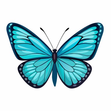 Canlı bir mavi morpho kelebeği, saf beyaz bir arka planda izole edilmiş. Doğanın zarafetine ihtiyaç duyan tasarım projeleri için mükemmel. Yüksek çözünürlüklü görüntü karmaşık kanat detaylarını ve zengin renkleri gösteriyor. Bahar / yaz temaları veya projec için ideal