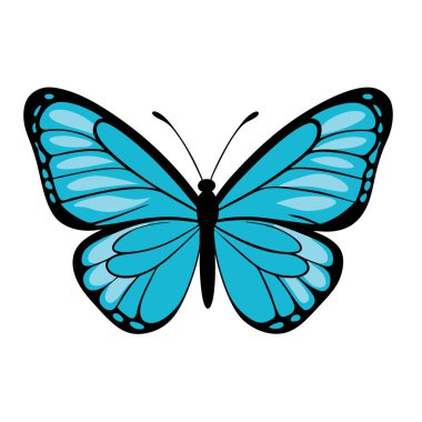 Mavi kelebek kanadının canlı ve detaylı bir çizimi, doğanın güzelliğine ihtiyaç duyan tasarım projeleri için mükemmel. Vektör grafiği beyaz bir arkaplanda izole edilmiş bir kesit içerir, bu da onu çeşitli AP 'lere kusursuz entegrasyon için ideal kılar.