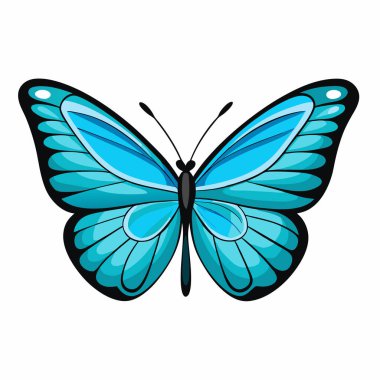 Beyaz arka planda izole edilmiş canlı mavi kelebek kanatlarının yakın çekimi. Doğaya, bahara ya da yaza ihtiyaç duyan tasarım projeleri için mükemmel. Bu yüksek çözünürlüklü resim karmaşık detaylar ve canlı renk, grafik tasarımı için ideal, illu