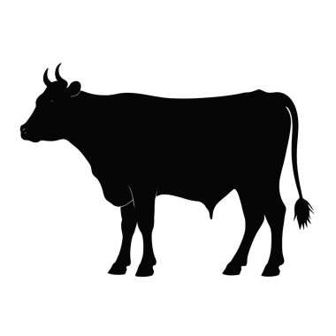 Beyaz bir arka planda izole edilmiş güçlü, zarif, siyah bir boğa silueti. Güçlü, görkemli bir çiftlik hayvanı imajına ihtiyaç duyan tasarımlar için mükemmel. Tarım, tarım ya da sığır endüstrisi uygulamaları için idealdir. Vektör grafiği, kolayca ölçeklenebilir