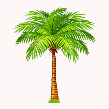 Bereketli, yeşil bir palmiye ağacının canlı bir çizimi, seyahat, tatil ve yaz temaları için mükemmel. İnternet siteleri, broşürler ya da tropik cennet hissi isteyen her tasarım için idealdir. Temiz beyaz arkaplan ile yüksek çözünürlüklü resim, kolayca dahil