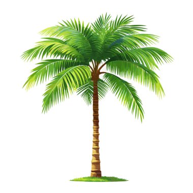 Canlı, yemyeşil hindistan cevizi palmiyesi, beyaz arka planda izole edilmiş. Seyahat, yaz ve tatil tasarımları için mükemmel. Bu yüksek çözünürlüklü çizim, web sitelerine, broşürlere veya ihtiyaç duyulan herhangi bir tasarım projesine tropikal bir his eklemek için idealdir. 