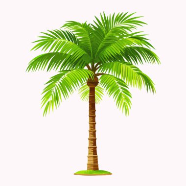 Beyaz arka planda izole edilmiş canlı yeşil tropikal palmiye ağacı. Seyahat, tatil, yaz ve tropikal temalı tasarımlar için mükemmel. Bir tasarım öğesi olarak ideal, grafik ya da clipart. Yüksek çözünürlüklü görüntü verimli yeşillik ve egzotik bitki örtüsü sergiliyor.