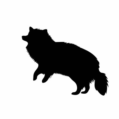 Beyaz bir arkaplana karşı atlayan tüylü bir tilkinin dinamik siyah silueti. Vahşi, enerjik ve oyuncu bir hayvan imajına ihtiyaç duyan tasarımlar için mükemmel. Yüksek çözünürlüklü vektör grafiği, logolar, web siteleri ve yazdırma ortamı için ideal. Kolayca izole edilebilir. 