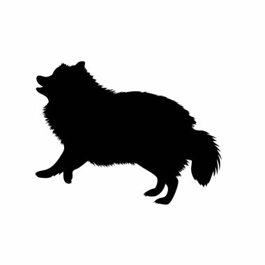 Beyaz bir arka planda mükemmel bir şekilde izole edilmiş, oyuncu Pomeranya köpek silueti. Evcil hayvan tasarımları, web siteleri ya da markalaşma için ideal. Yüksek kalite vektör çizimi, detay kaybı olmadan kolayca ölçeklenebilir. Çekici bir grafik, küçük, tüylü...