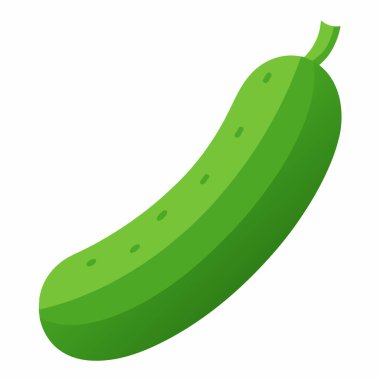 Canlı, taze yeşil bir salatalık, temiz beyaz bir arka planda izole edilmiş. Mutfak, sağlıklı beslenme ya da botanik temalı projeler için mükemmel. Bu yüksek çözünürlüklü resim, bu popüler yaz sebzesinin canlı dokusunu ve sulu görünümünü sergiliyor.. 