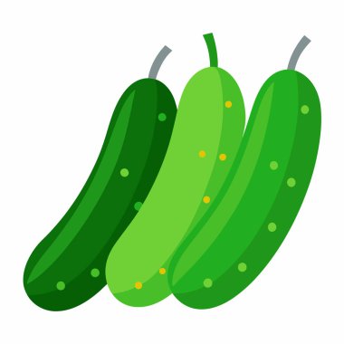 Üç canlı yeşil salatalık, taze toplanmış ve yemeye hazır. Salatalar, abur cuburlar ya da sağlıklı bir yemek malzemesi olarak mükemmel. Kıtır, sulu bir doku. Beyaz bir arka planda izole edilmiş. Mutfak, sağlık ve yaşam tarzı projeleri için ideal.