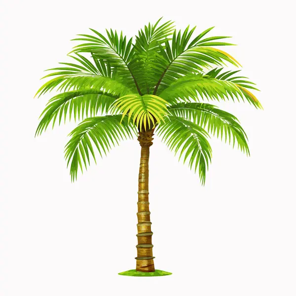 Canlı, yemyeşil hindistan cevizi palmiyesi, temiz beyaz arka planda izole edilmiş. Seyahat broşürleri, yaz tasarımları ya da tropik bir his gerektiren her proje için mükemmel. Bu yüksek çözünürlüklü resim tek bir palmiye ağacının gerçekçi bir tasvirini sunar, ideal.