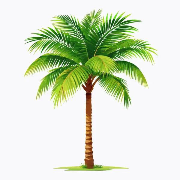 Canlı, tek hindistan cevizi palmiyesi, beyaz arka planda izole edilmiş. Seyahat, yaz ve tatil temaları için mükemmel. Bu gür yeşil çizim, tropikal bir his gerektiren tasarım projeleri için idealdir. Temiz ve yüksek çözünürlüklü grafik elementi sunar.