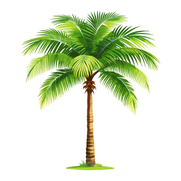 Canlı yeşil hindistan cevizi palmiyesi, beyaz arka planda izole edilmiş. Seyahat, tatil ya da yaz temalı tasarımlar için mükemmel. Bu bereketli tropikal illüstrasyon her projeye bir parça cennet katar. Web siteleri, broşürler ve daha fazlası için ideal. Yüksek çözünürlük