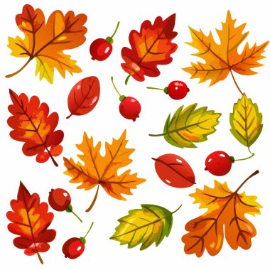 Canlı suluboya sonbahar yaprakları ve böğürtlenler Şükran Günü için mükemmel, sonbahar hasat tasarımları ve mevsimlik dekorasyonlar. Kırmızı, turuncu, sarı ve yeşil akçaağaç yaprakları içerir. Geçmişler, şablonlar, çizimler ve g için ideal