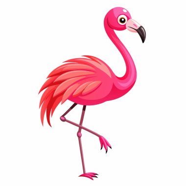 Canlı pembe flamingo karikatür çizimi, yaz tasarımları için mükemmel. Beyaz arka planda izole edilmiş bu sevimli ve neşeli vektör grafiği ayrıntılı tüyleri ve parlak renkleri olan neşeli bir flamingoya sahiptir. Web siteleri, markalaşma ve davetiye için ideal