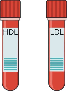 HDL ve LDL kolesterol kan test tüplerinin renkli vektör çizimi, tıbbi, sağlık ve bilimle ilgili projeler için idealdir. Eğitim materyalleri, web siteleri veya iyi ve kötü şeyleri açıklayan sunumlar için basit çizgi film biçimi grafiği mükemmeldir