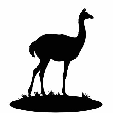 Guanaco 'nun silueti, bir çayırda duran vahşi bir Güney Amerika kamelyası. Vahşi yaşam, doğa ve seyahat tasarımları için mükemmel. Vektör grafik, siyah ve beyaz, çeşitli uygulamalar için kolayca ölçeklenebilir. Broşürler, web siteleri veya eğitim oranları için ideal