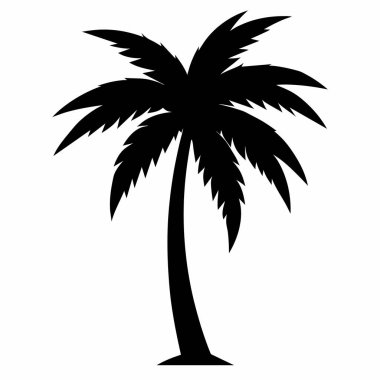 Hindistan cevizi ağacı vektör çizimi