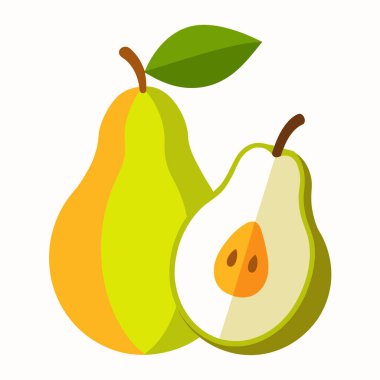 Avokado meyve vektör çizim