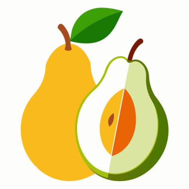 Avokado meyvesinin vektör illüstrasyonu