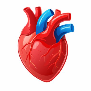 Kalp organı karikatür vektörü. kalp organı.