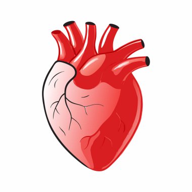 kalp organı ikonu vektör çizimi tasarımı