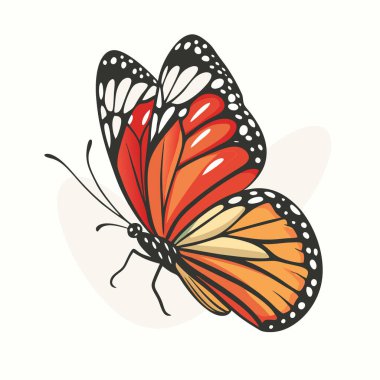 Renkli bir kelebeğin içinde uçan güzel bir kelebek. vektör illüstrasyonu.