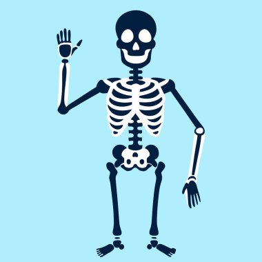 El çizimi cadılar bayramı iskelet çizimi