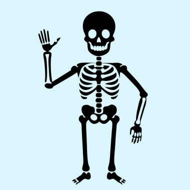 İnsan iskeleti ikonu. Cadılar Bayramı ve iskelet teması. Yalnız tasarım. vektör illüstrasyonu