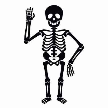 izole edilmiş insan iskeleti çizgi film tasarım vektör çizimi