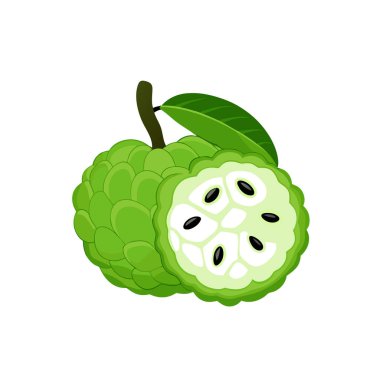 Yaprak vektör çizimine sahip taze yeşil meyve