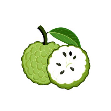 Beyaz zemin üzerinde yaprak olan yeşil elmanın vektör çizimi
