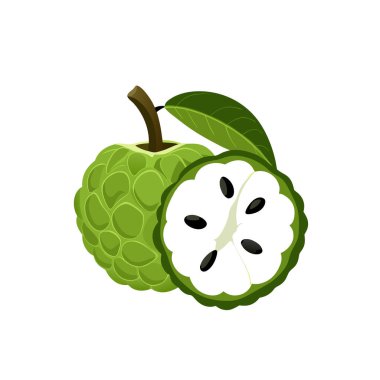 yeşil taze meyve yarı yarıya.