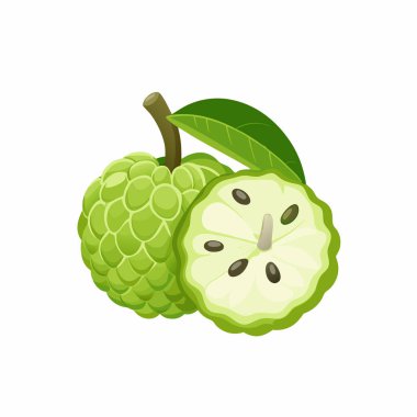 Yeşil ve kırmızı elmanın vektör çizimi.