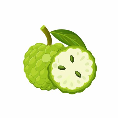 taze yeşil meyve, illüstrasyon, vektör